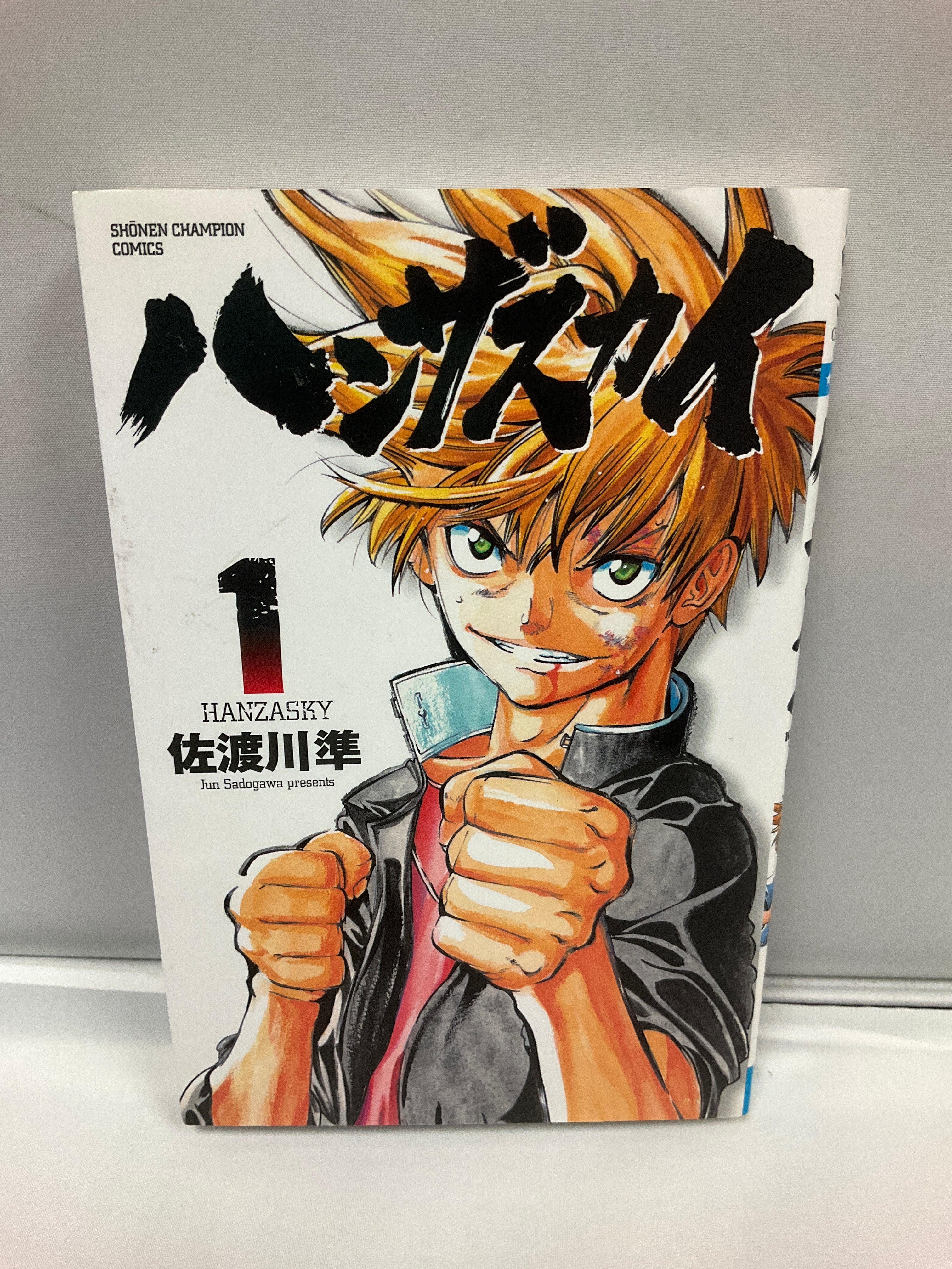 *Complete Set* Hanza Sky Vol.1 - 13 : Japanese / (VG)