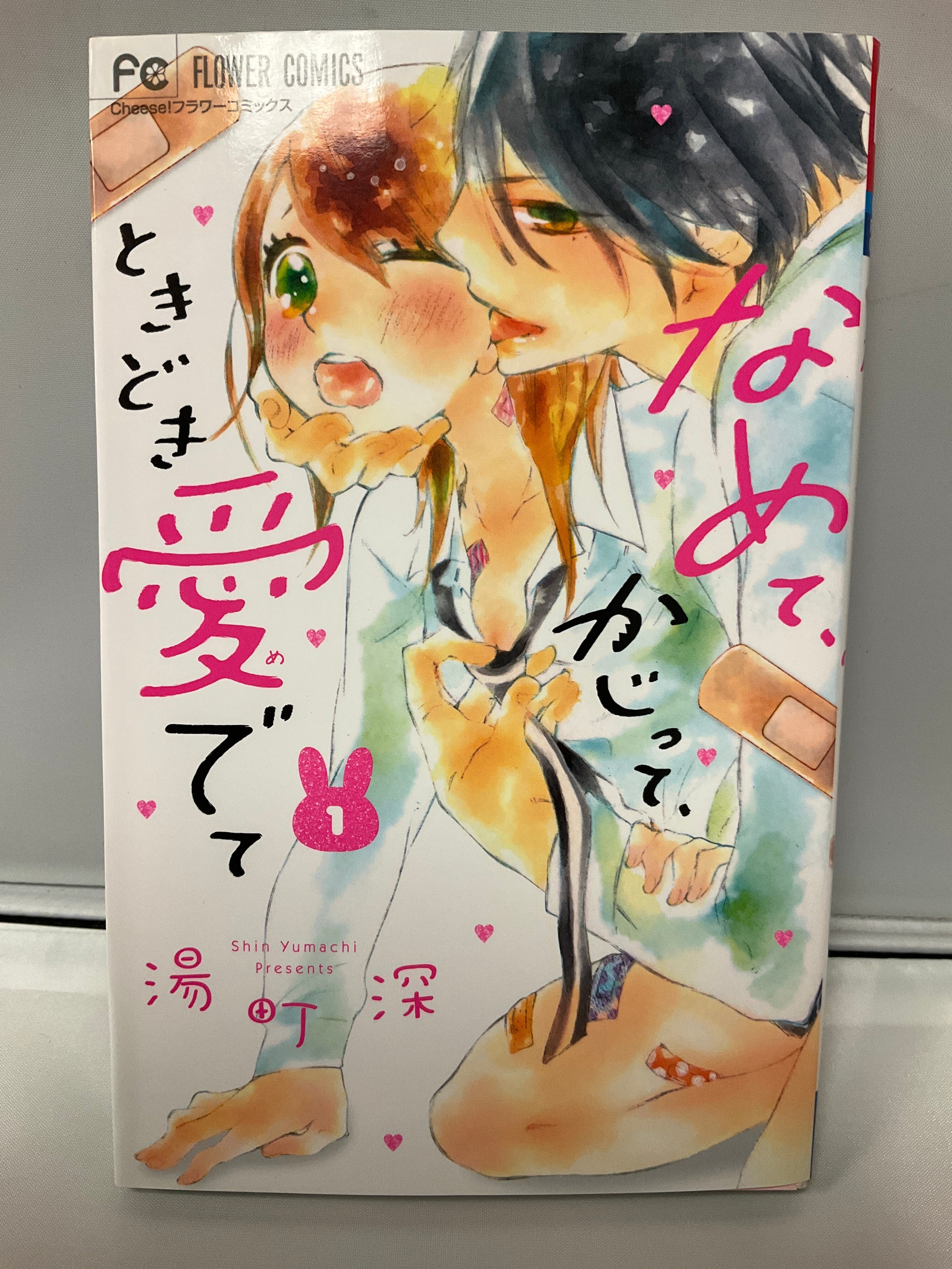 *Complete Set*　Namete, Kajitte, Tokidoki Medete Vol.1 - 15 : Japanese / (G)　