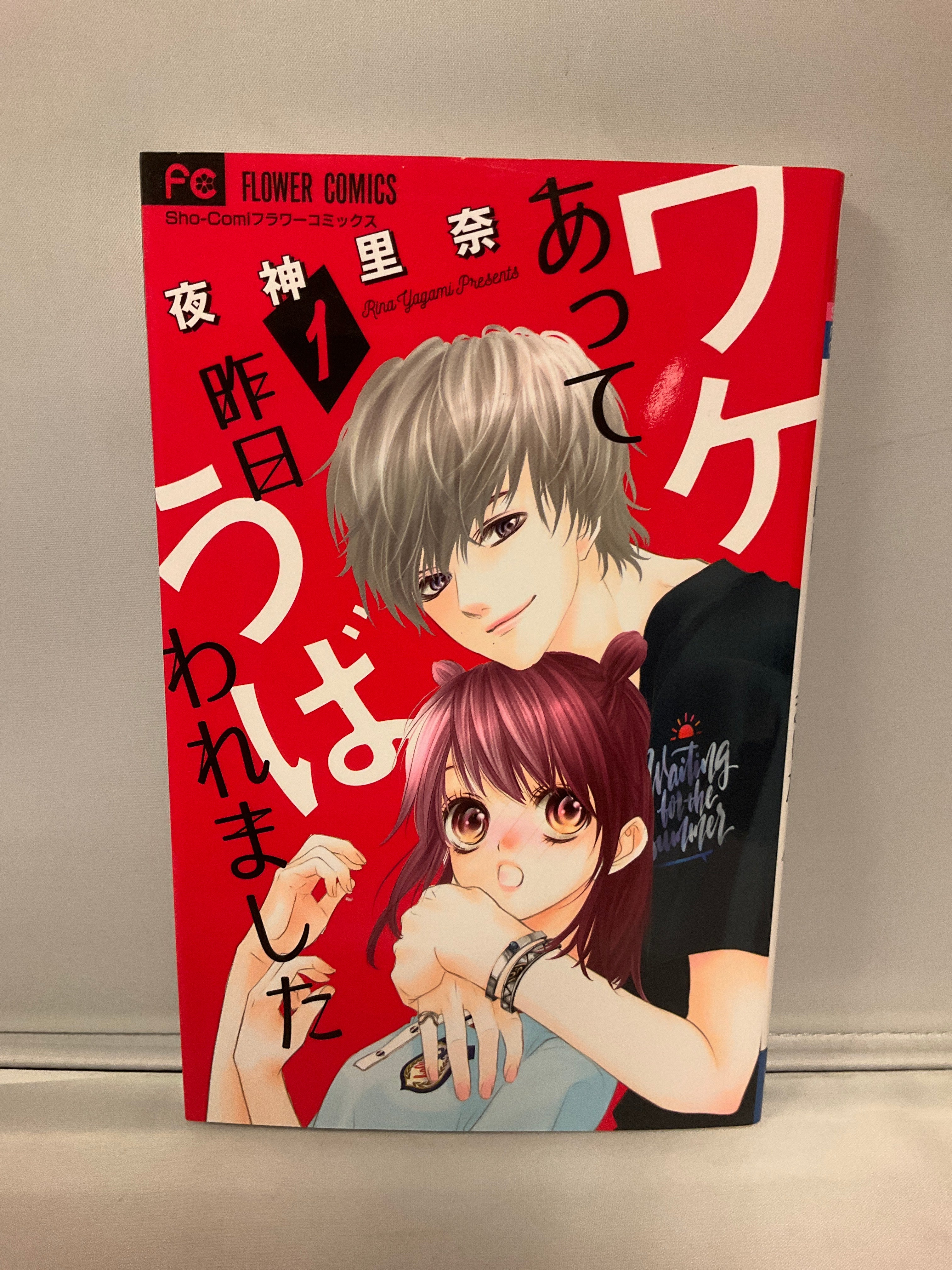 *Complete Set* Taken Away for a Reason Yesterday Vol. 1 - 5 : Japanese / (VG)
